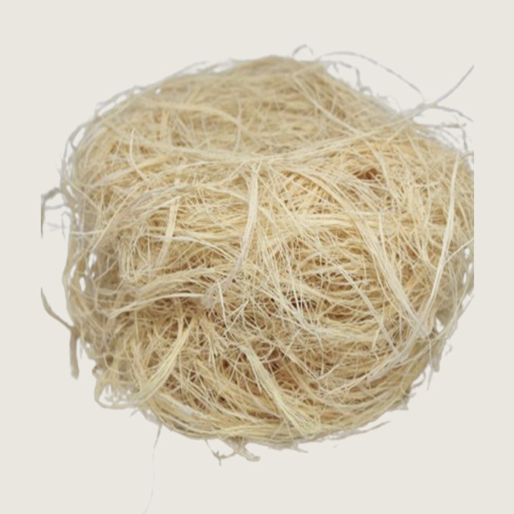 African Sponge