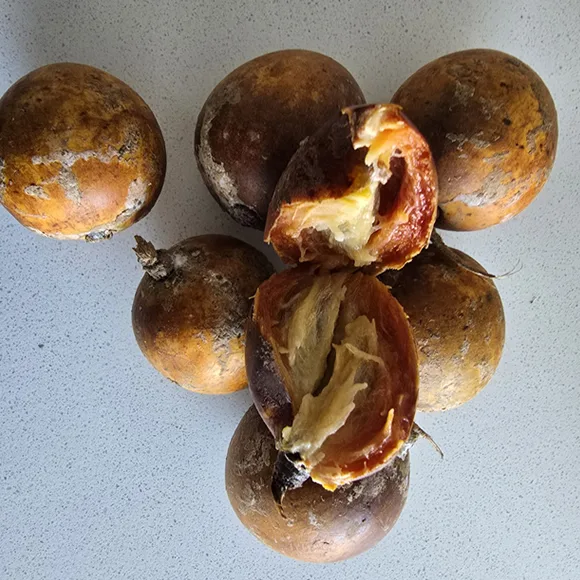 Agbalumo