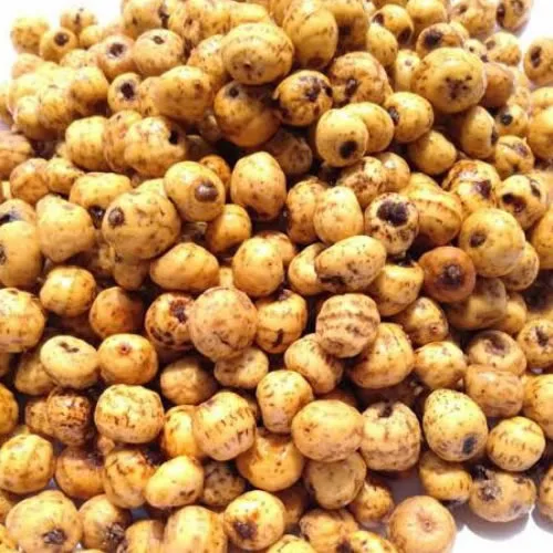 Tiger Nut